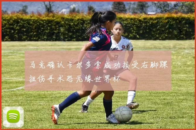 马竞确认卡尔多索成功接受右脚踝扭伤手术恐无缘世界杯